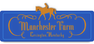 thoroughbred horse farm tours in lexington ky